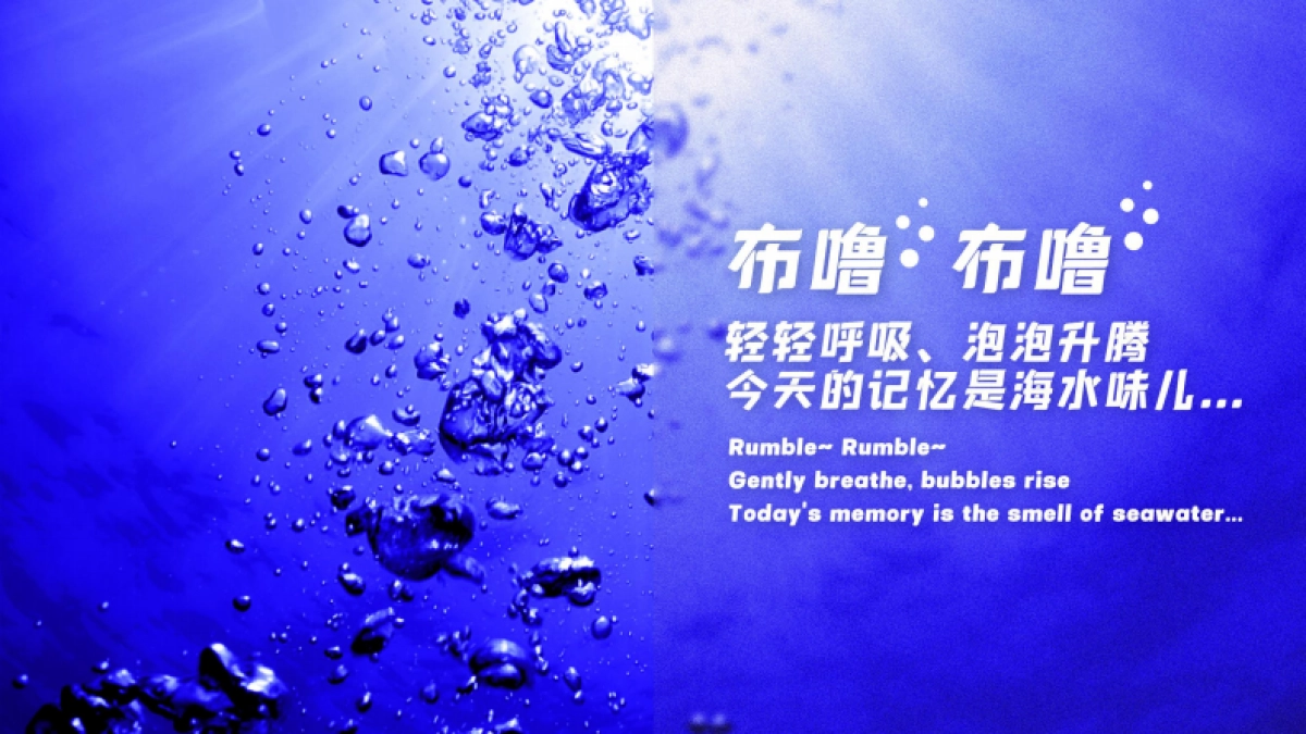 石梅湾国际潜水节策划方案_第5页