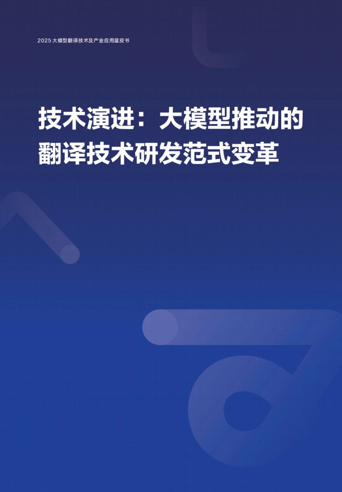 2025大模型翻译技术及产业应用蓝皮书_第6页