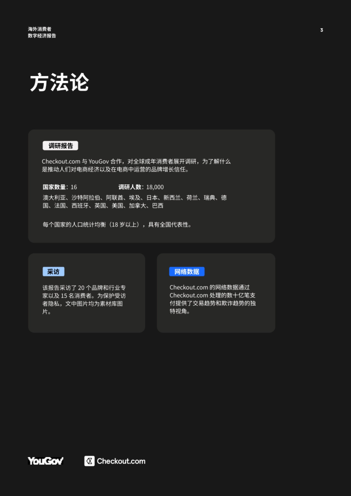 2025海外消费者数字经济报告_第3页