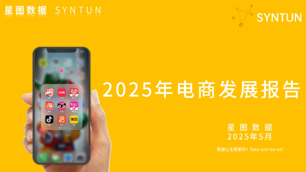 2025年电商发展报告_第1页