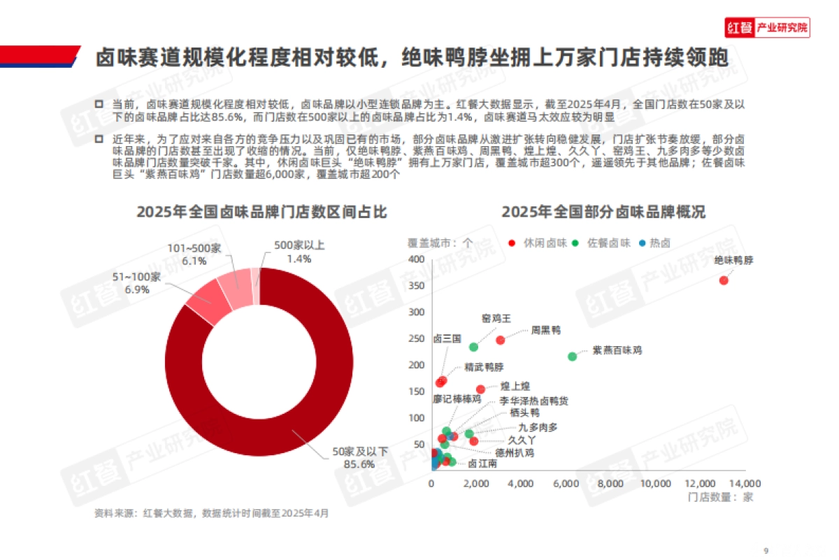 2025年卤味品类发展报告_第9页