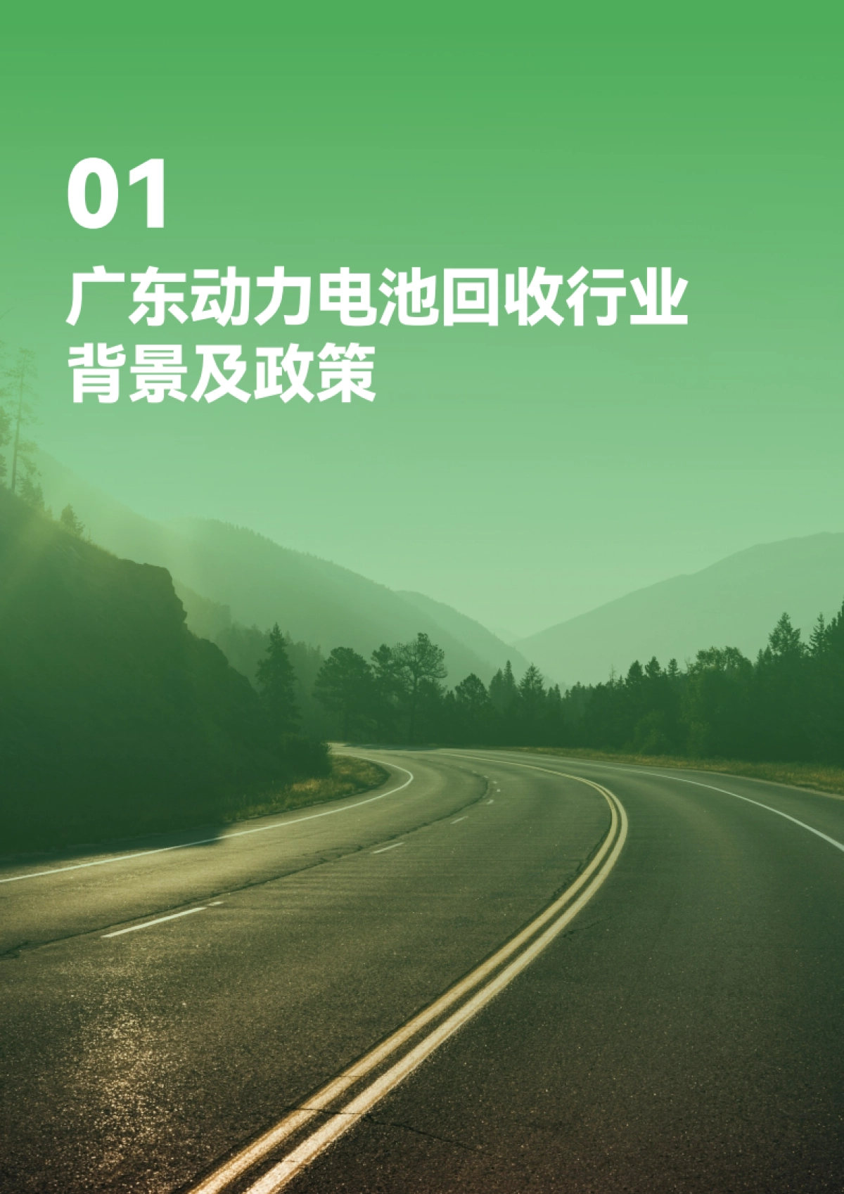 2025年欧盟《新电池法》下广东动力电池回收产业现状及综合分析报告_第5页