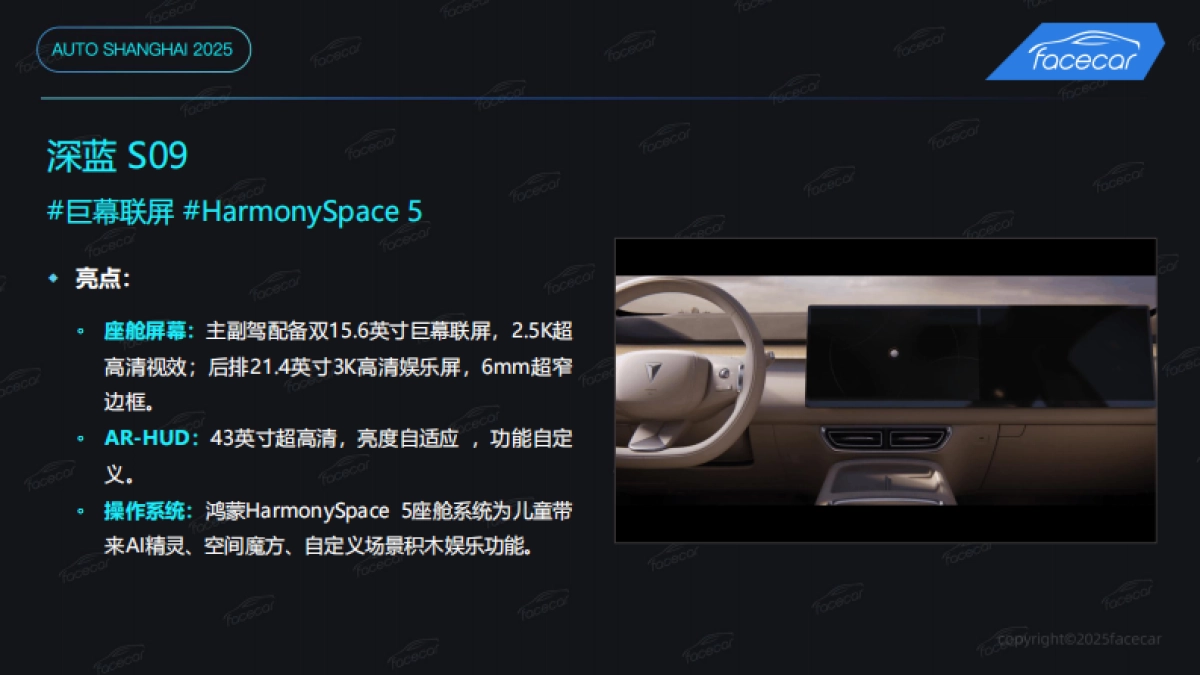 2025上海车展智能汽车洞察分析报告_第10页