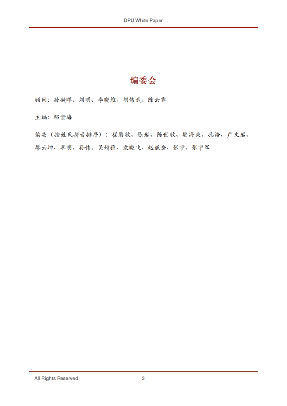 专用数据处理器（DPU) 技术白皮书_第3页