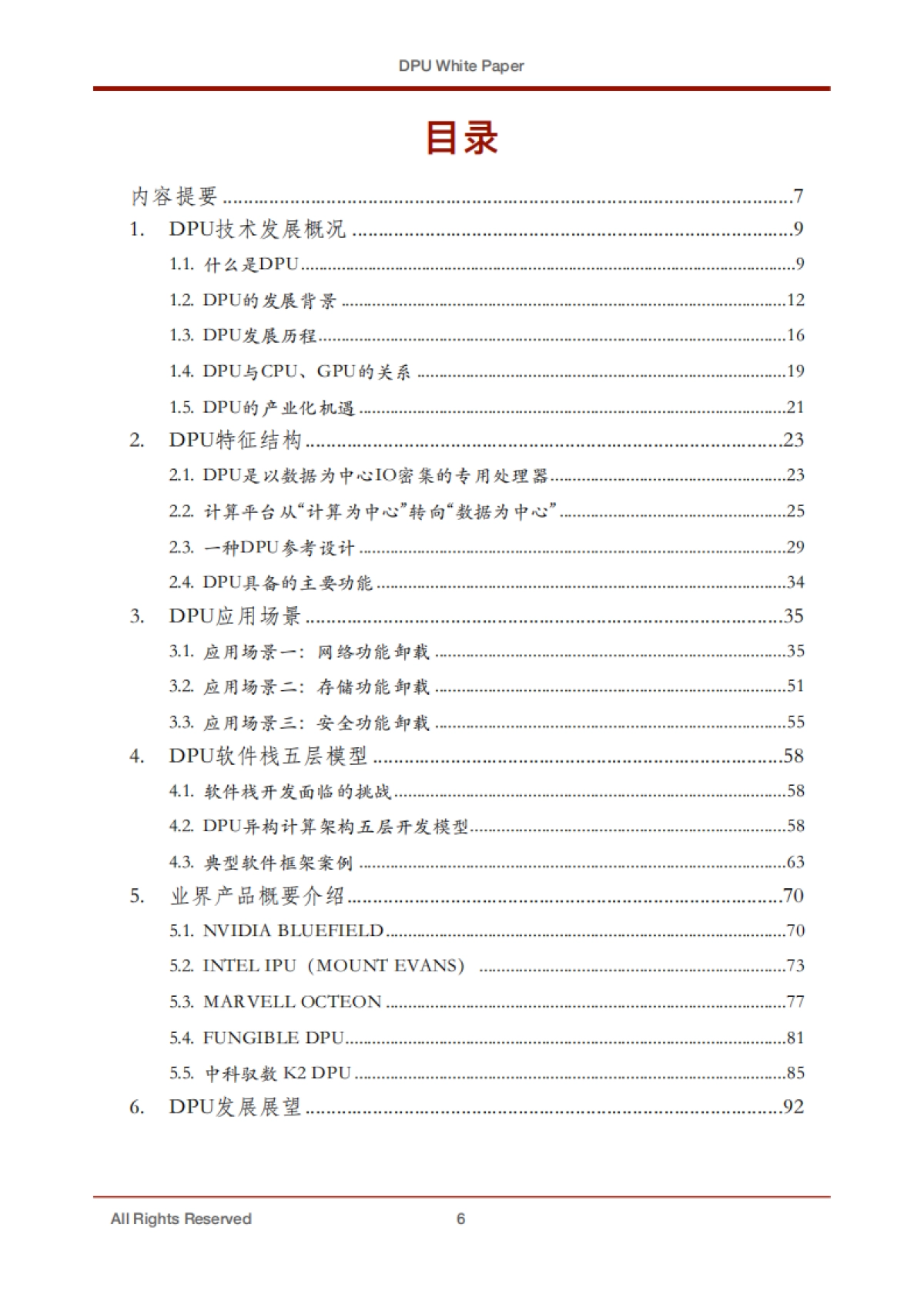专用数据处理器（DPU) 技术白皮书_第6页