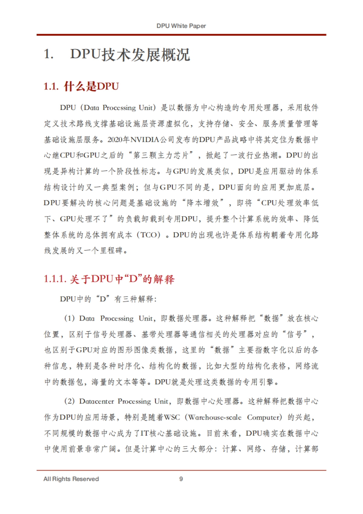 专用数据处理器（DPU) 技术白皮书_第9页