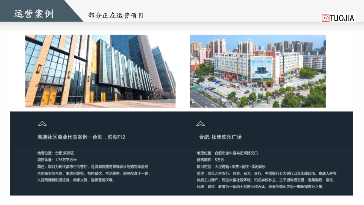 湖州南浔广弘新天地项目底商商业街运营定位规划策划方案_第10页