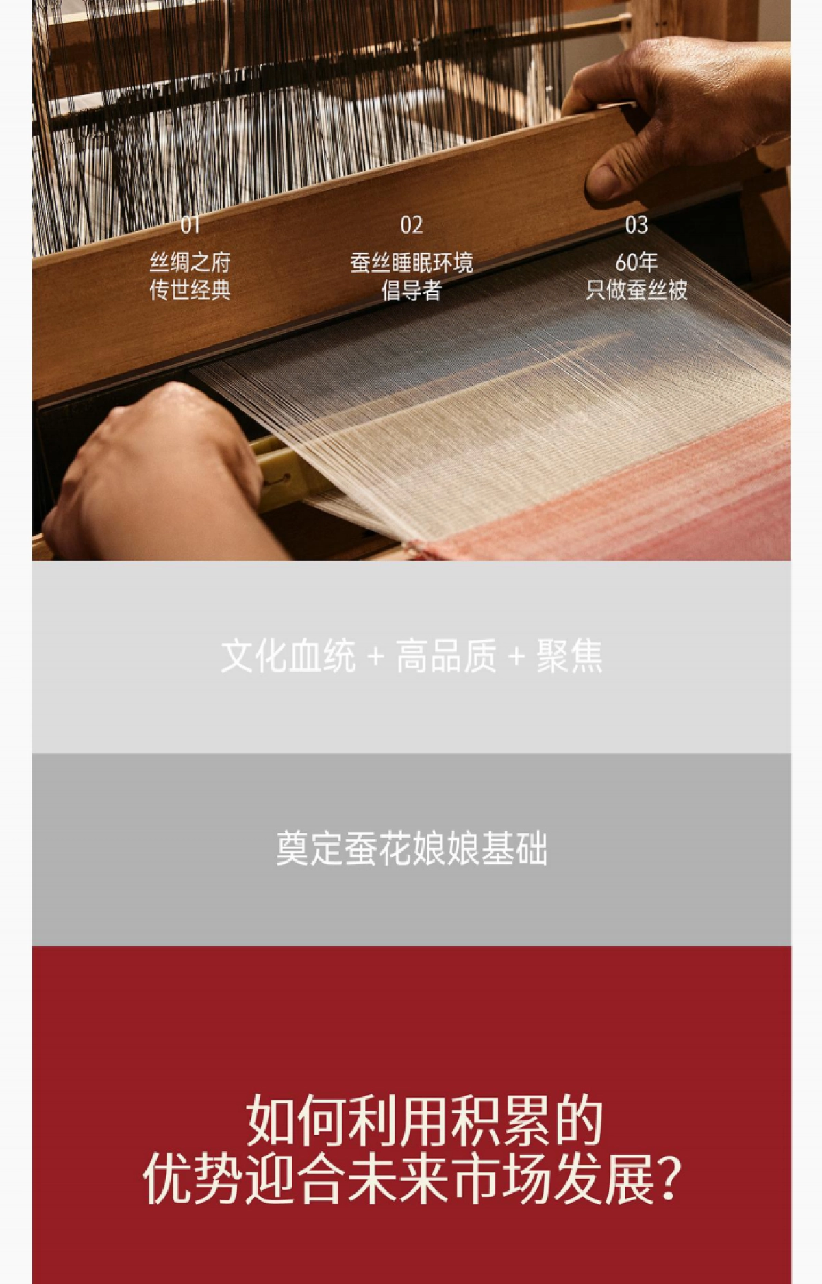 蚕花娘娘品牌战略升级超级全案_第10页