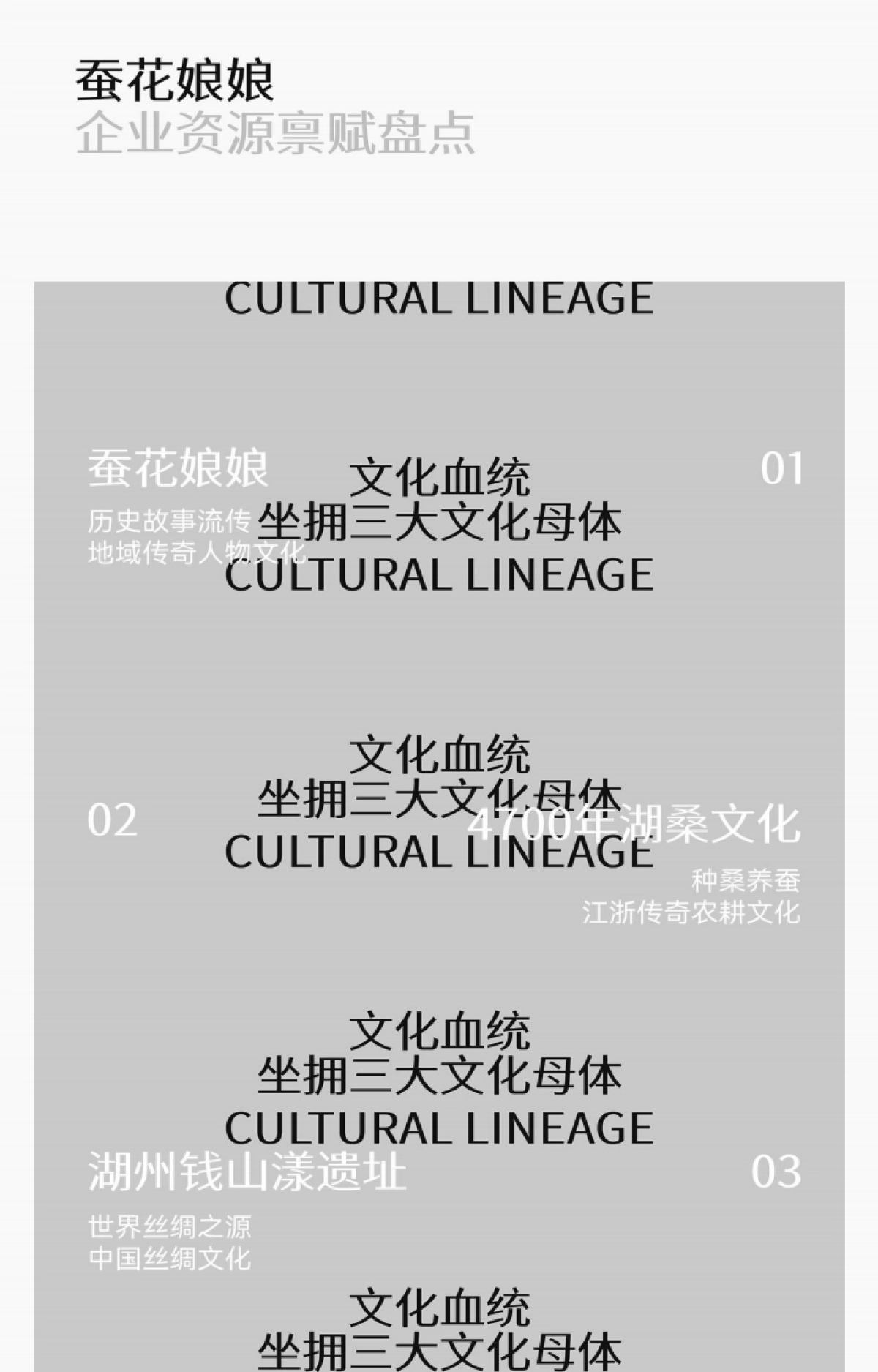 蚕花娘娘品牌战略升级超级全案_第7页