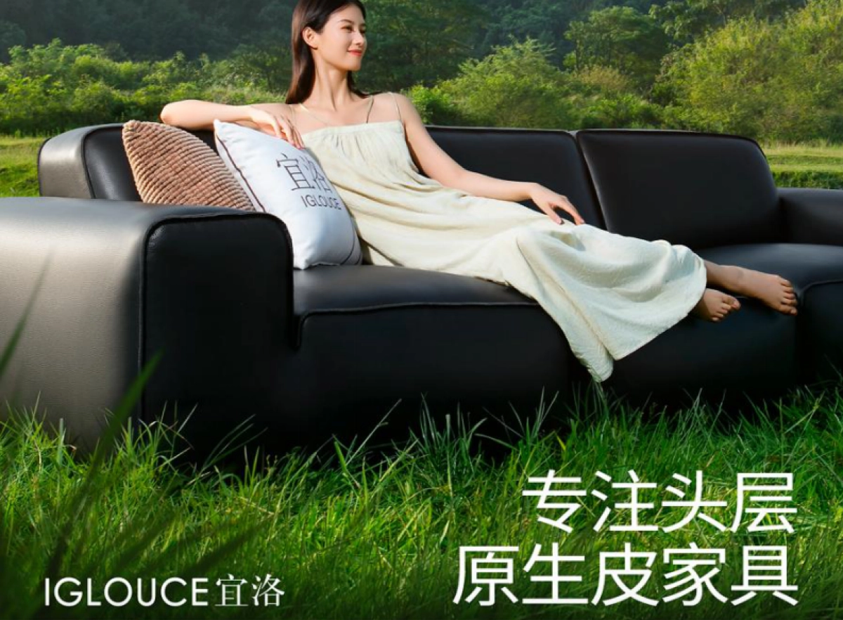 2024宜洛家具超级品牌价值体系战略升级全案_第2页