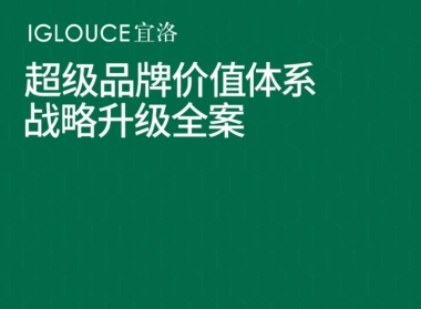 2024宜洛家具超级品牌价值体系战略升级全案