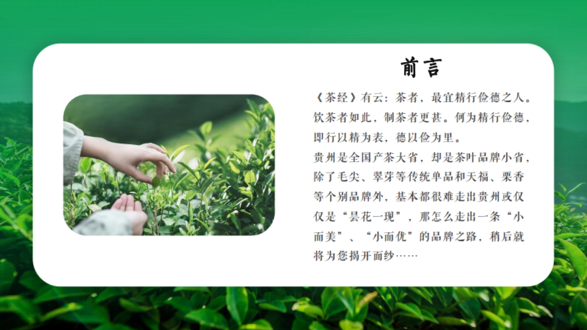 贡芽茶业品牌运营计划书整合营销策略方案_第2页