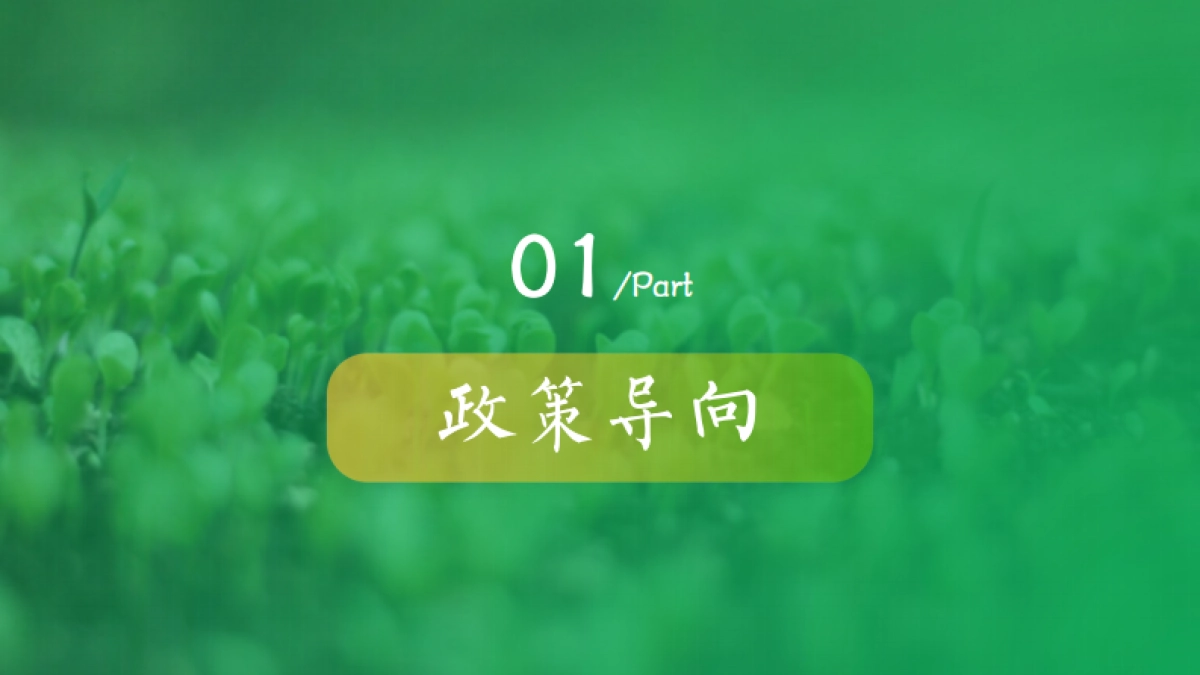 贡芽茶业品牌运营计划书整合营销策略方案_第4页