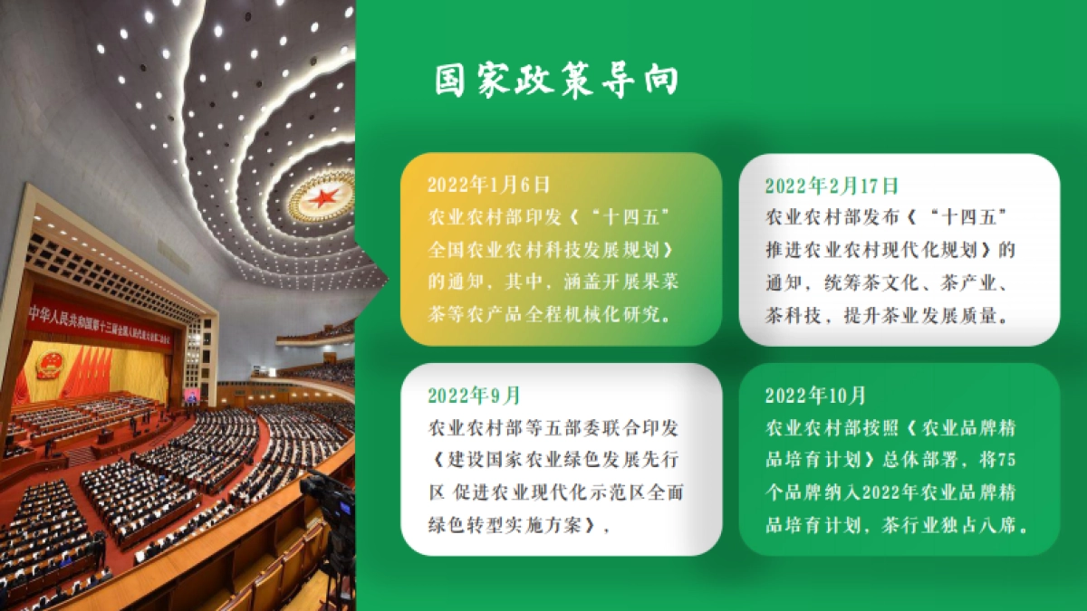 贡芽茶业品牌运营计划书整合营销策略方案_第5页