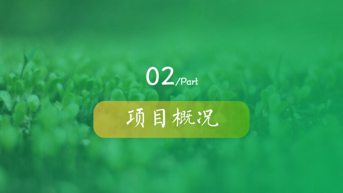 贡芽茶业品牌运营计划书整合营销策略方案_第7页