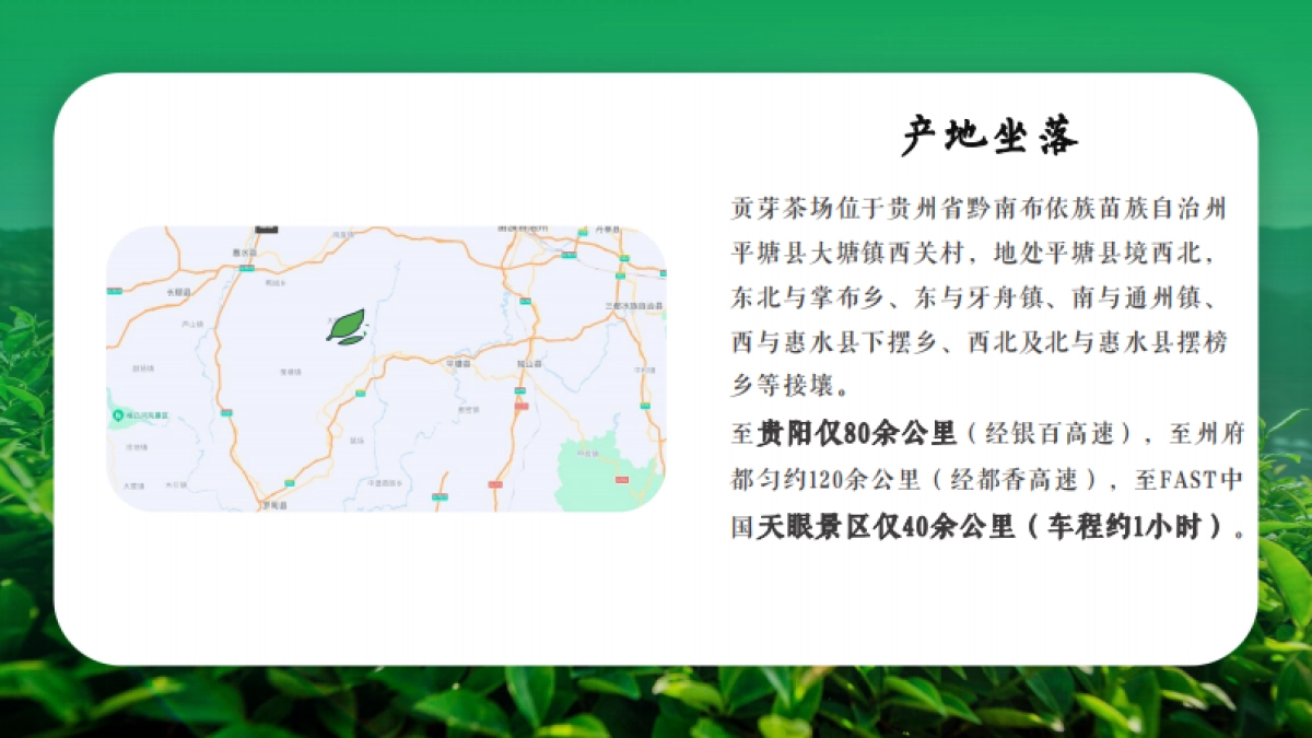 贡芽茶业品牌运营计划书整合营销策略方案_第8页