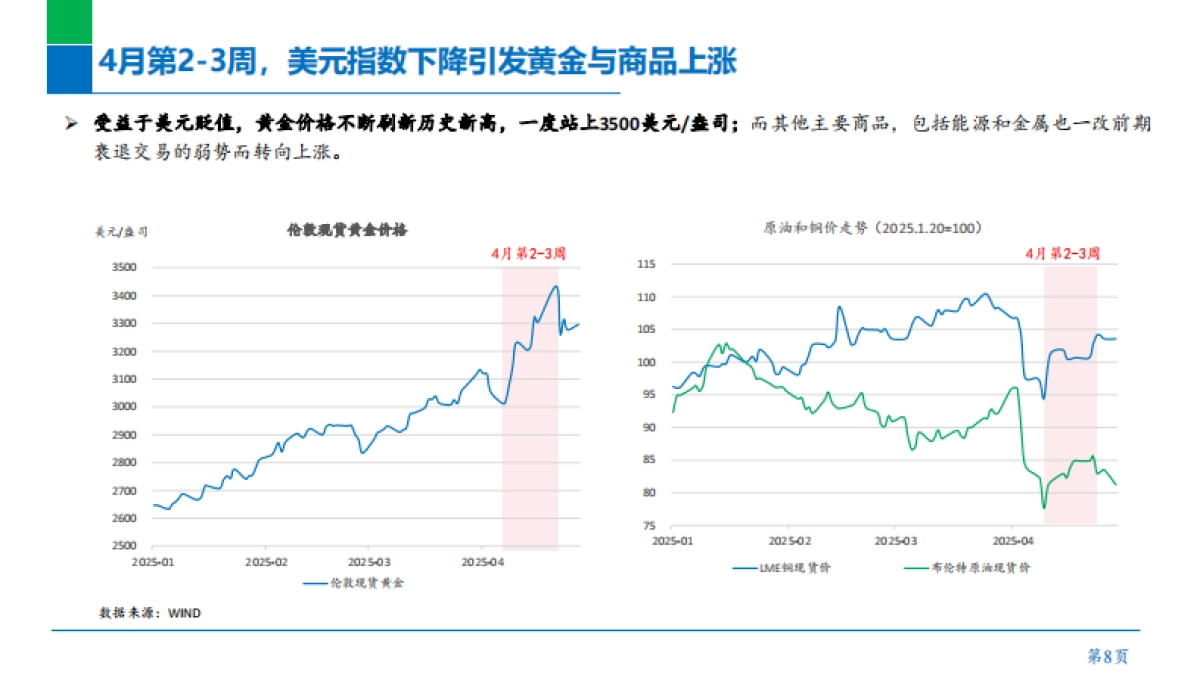 2025年税政策与去美元化进程报告_第9页