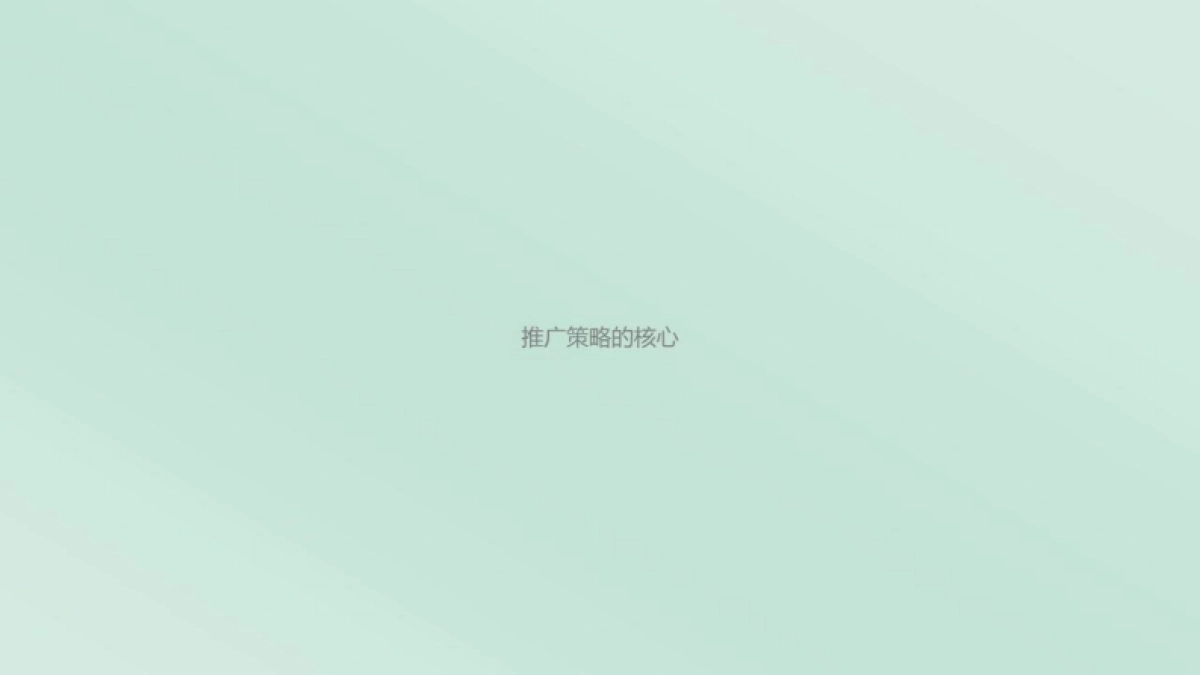 民宿平台品牌策划全案_第3页