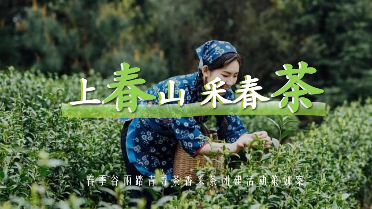 春季谷雨踏青寻茶香采茶团建活动策划案_第1页