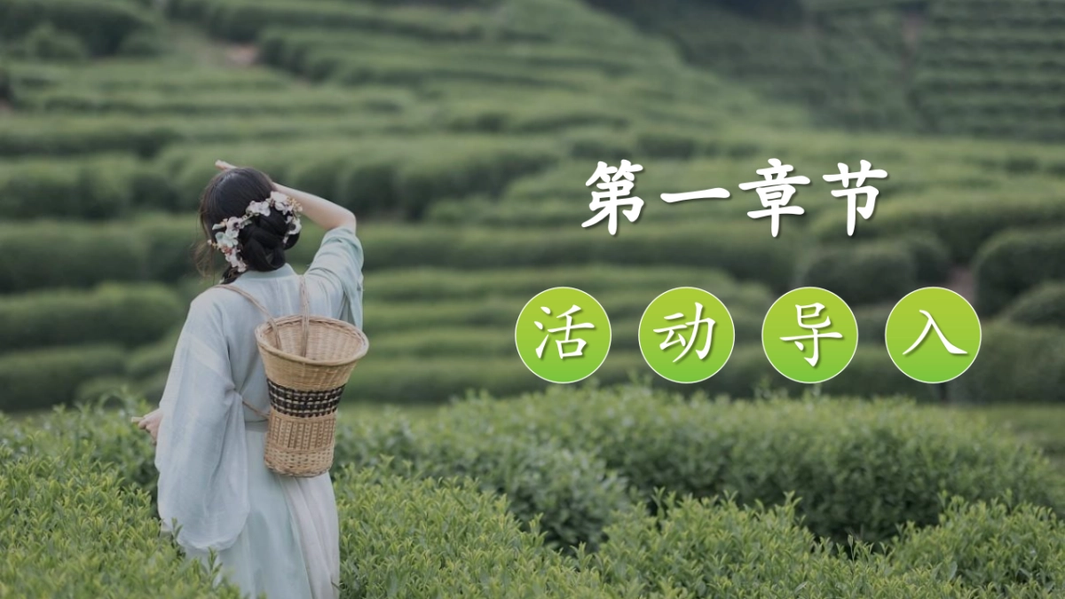 春季谷雨踏青寻茶香采茶团建活动策划案_第3页