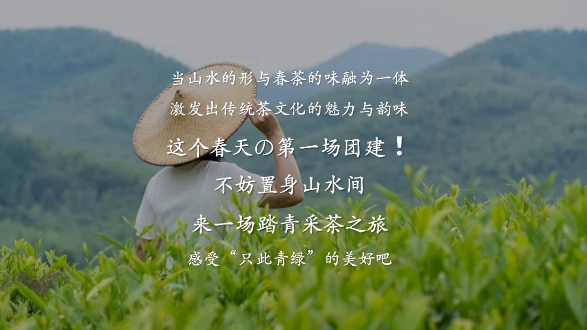 春季谷雨踏青寻茶香采茶团建活动策划案_第5页