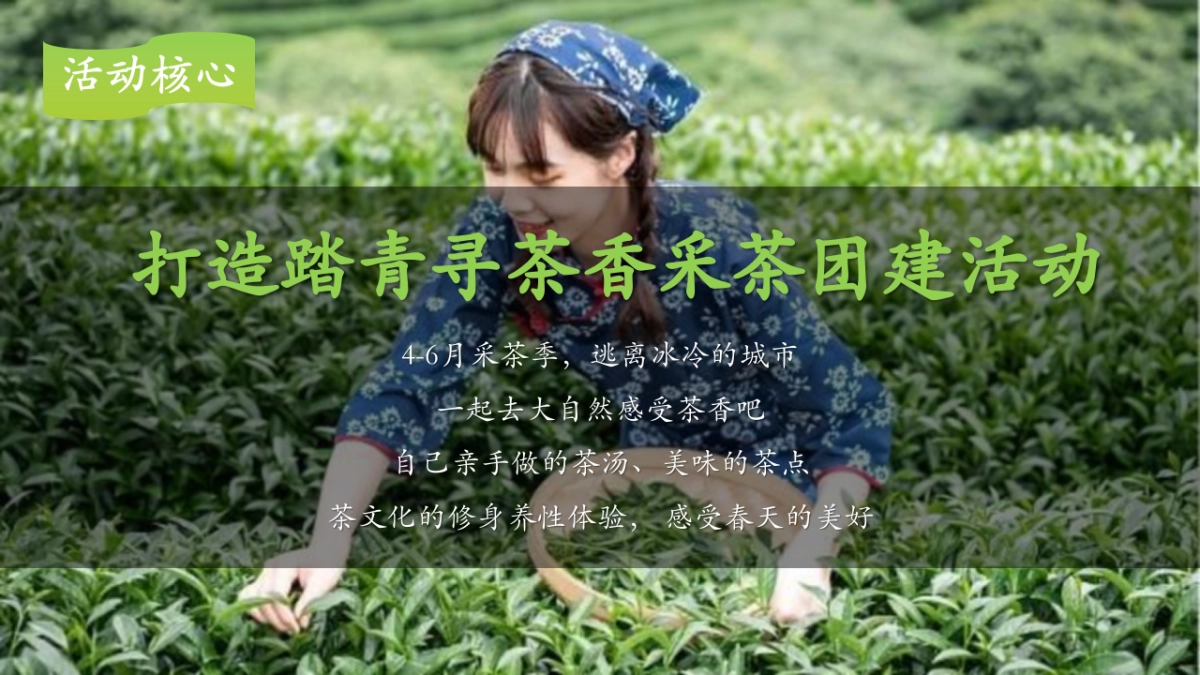 春季谷雨踏青寻茶香采茶团建活动策划案_第6页