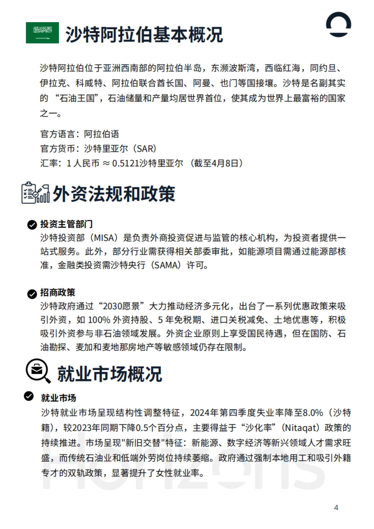 2025年沙特阿拉伯出海白皮书_第4页