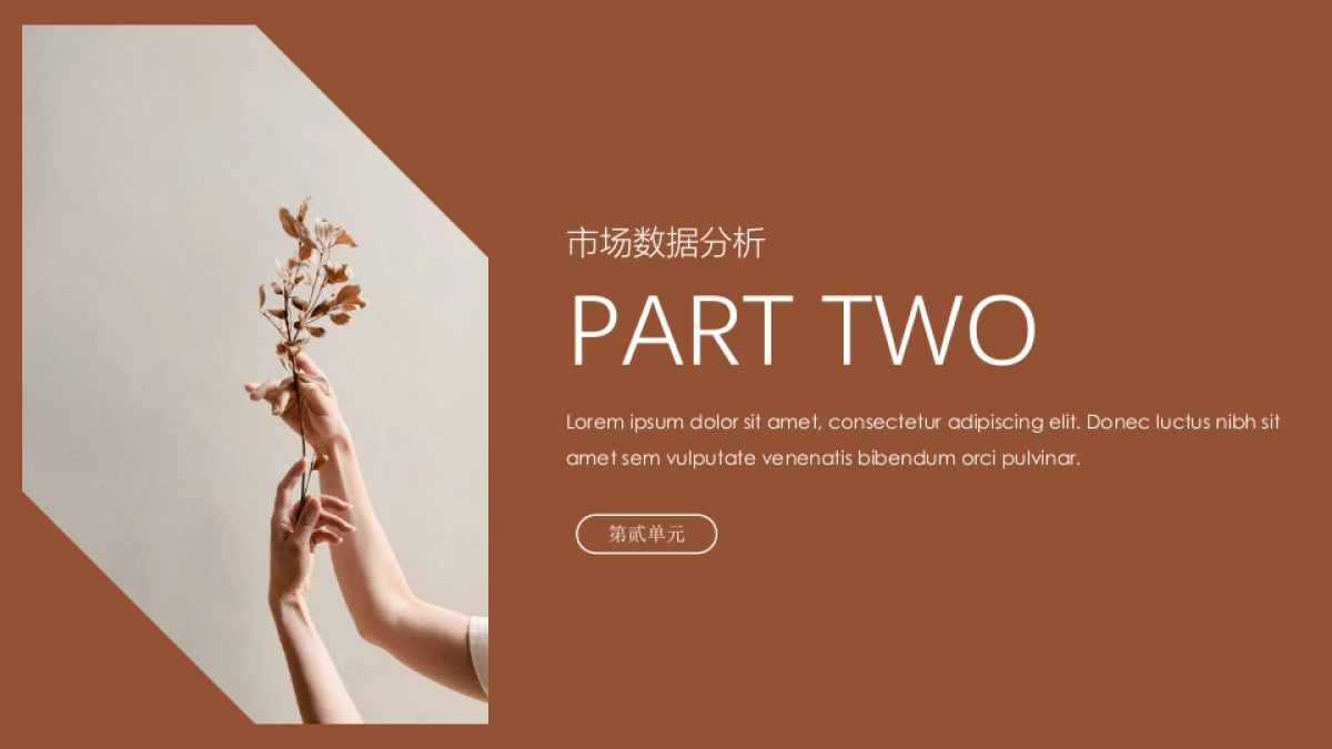 法式欧美风ppt-67(RDL)_第8页