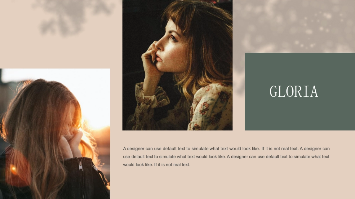 法式欧美风ppt-69(RDL)_第2页