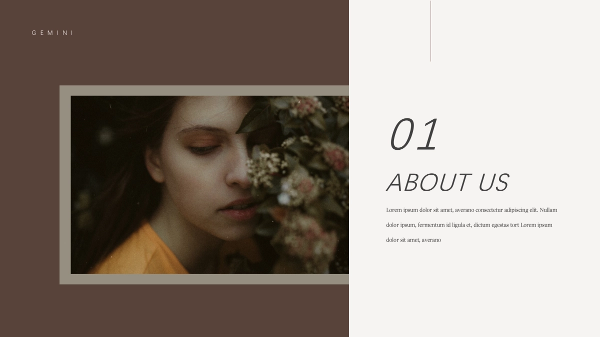 法式欧美风ppt-70(RDL)_第2页