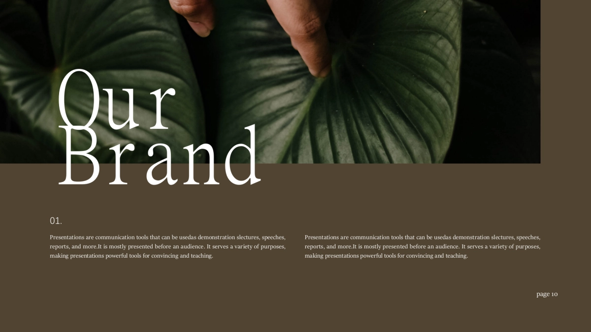 法式欧美风ppt-03(RDL)_第10页