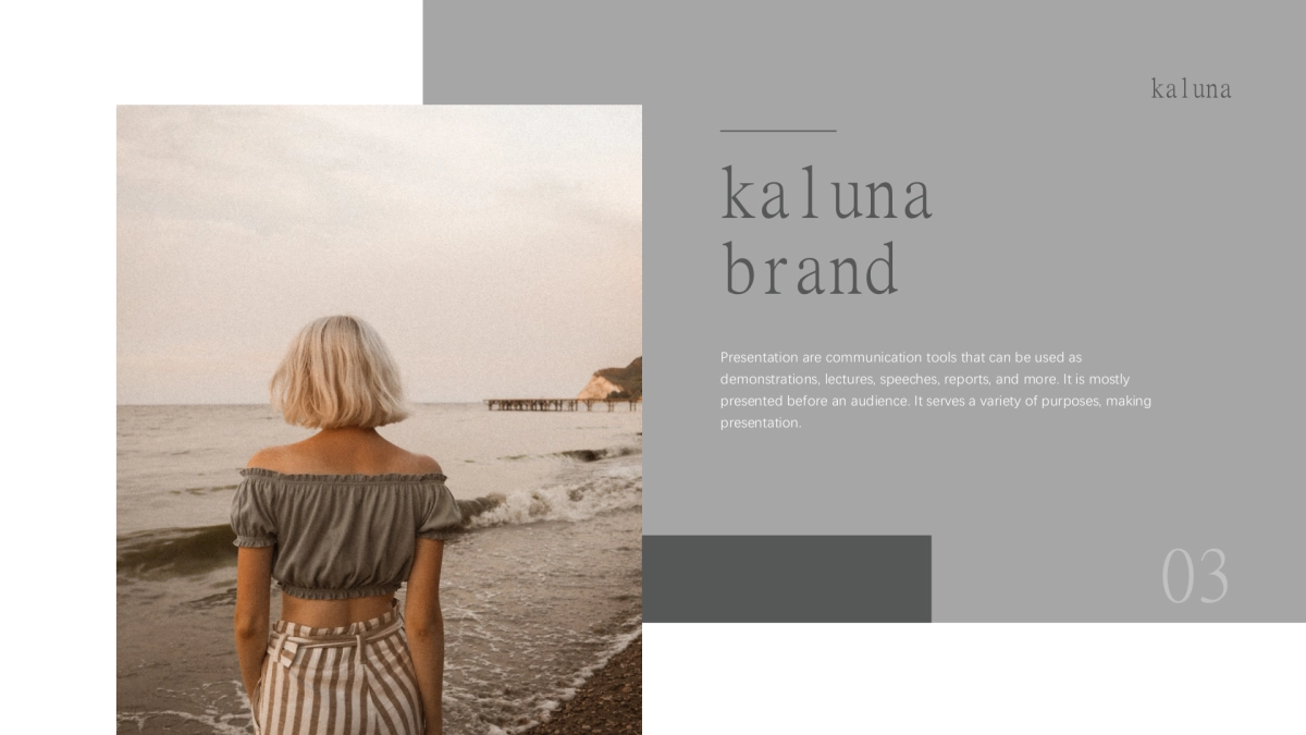 法式欧美风ppt-06(RDL)_第3页