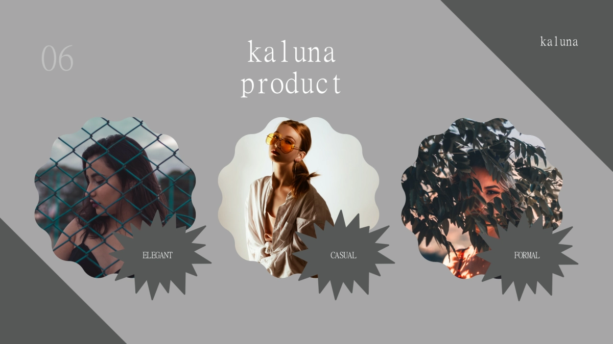 法式欧美风ppt-06(RDL)_第6页