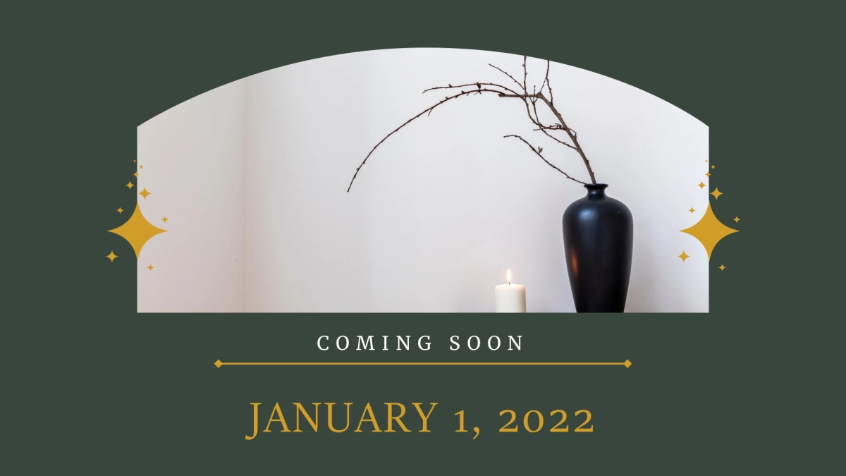 法式欧美风ppt-09(RDL)_第9页