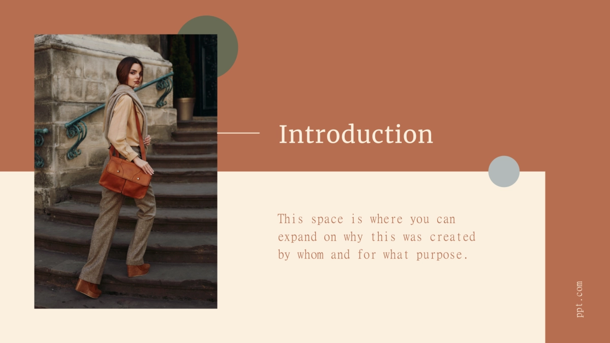 法式欧美风ppt-11(RDL)_第3页