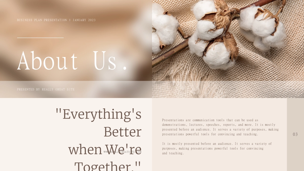 法式欧美风ppt-14(RDL)_第3页