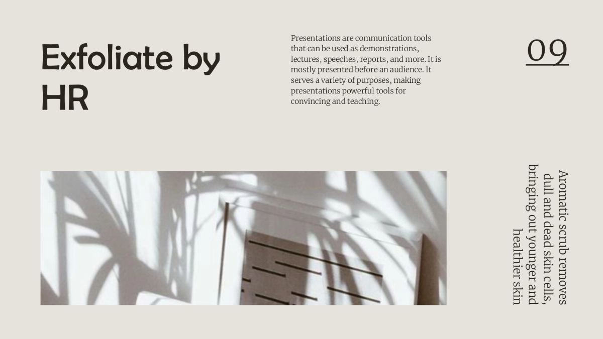 法式欧美风ppt-18(RDL)_第9页