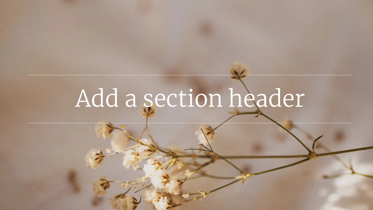 法式欧美风ppt-19(RDL)_第10页