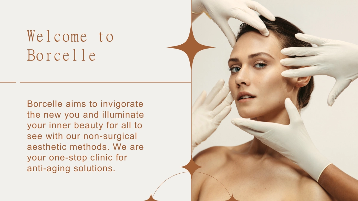 法式欧美风ppt-20(RDL)_第2页