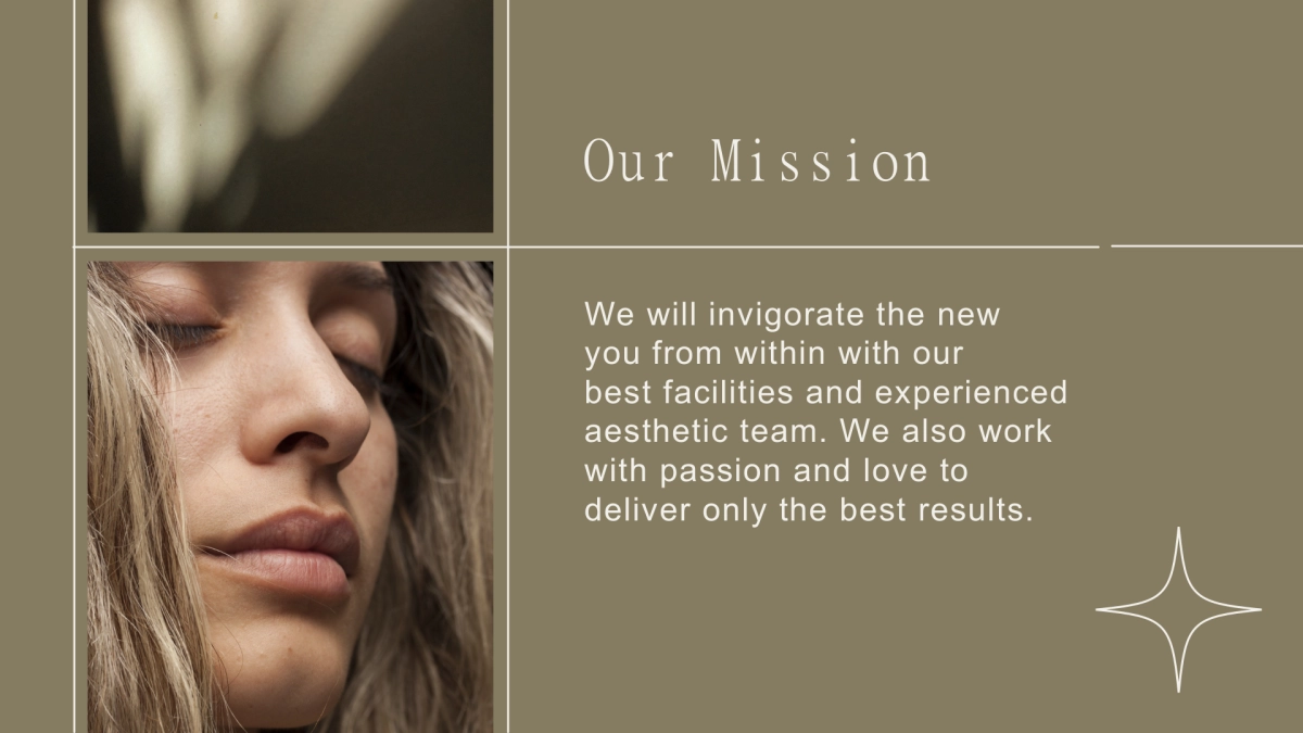 法式欧美风ppt-20(RDL)_第4页