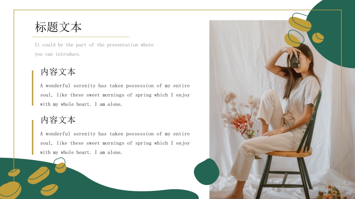 法式欧美风ppt-28(RDL)_第4页