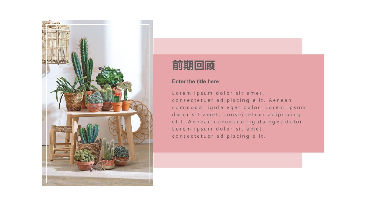 法式欧美风ppt-30(RDL)_第2页