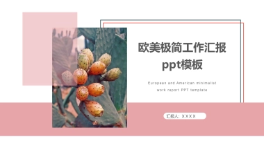 法式欧美风ppt-30(RDL)
