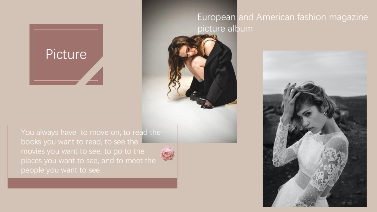 法式欧美风ppt-31(RDL)_第4页