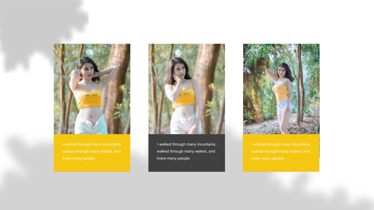 法式欧美风ppt-32(RDL)_第4页