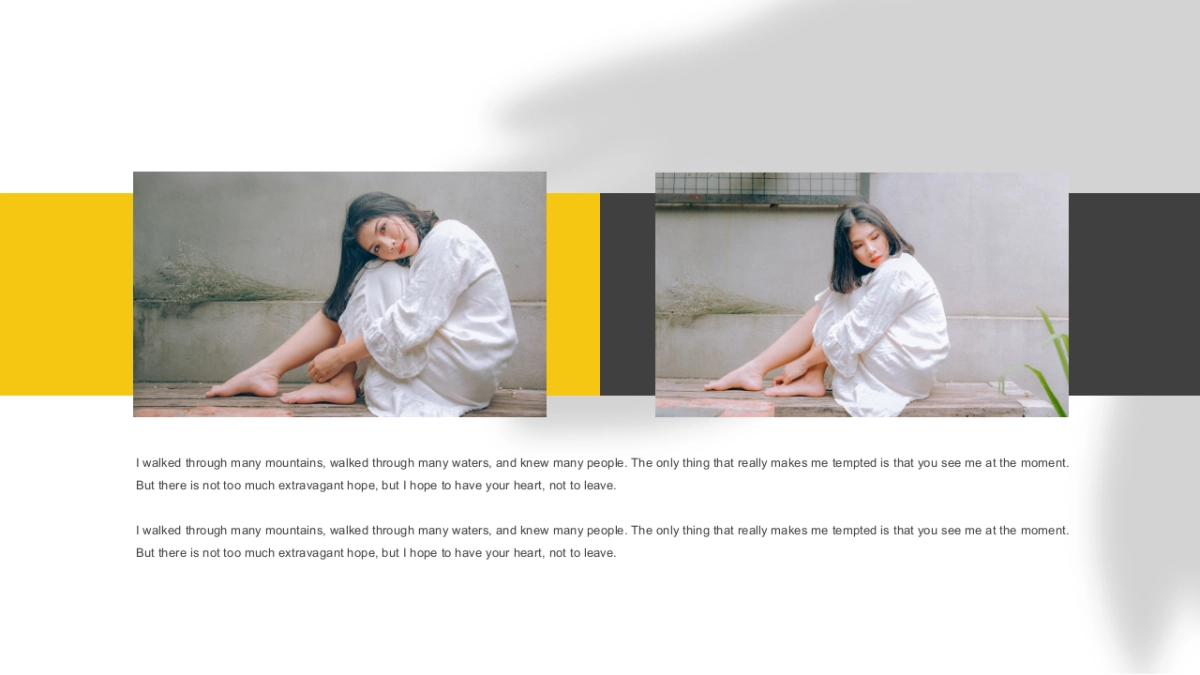 法式欧美风ppt-32(RDL)_第5页