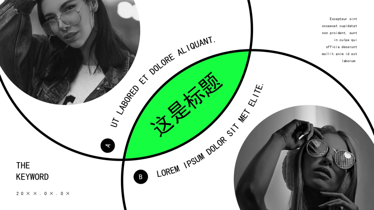 法式欧美风ppt-35(RDL)_第10页