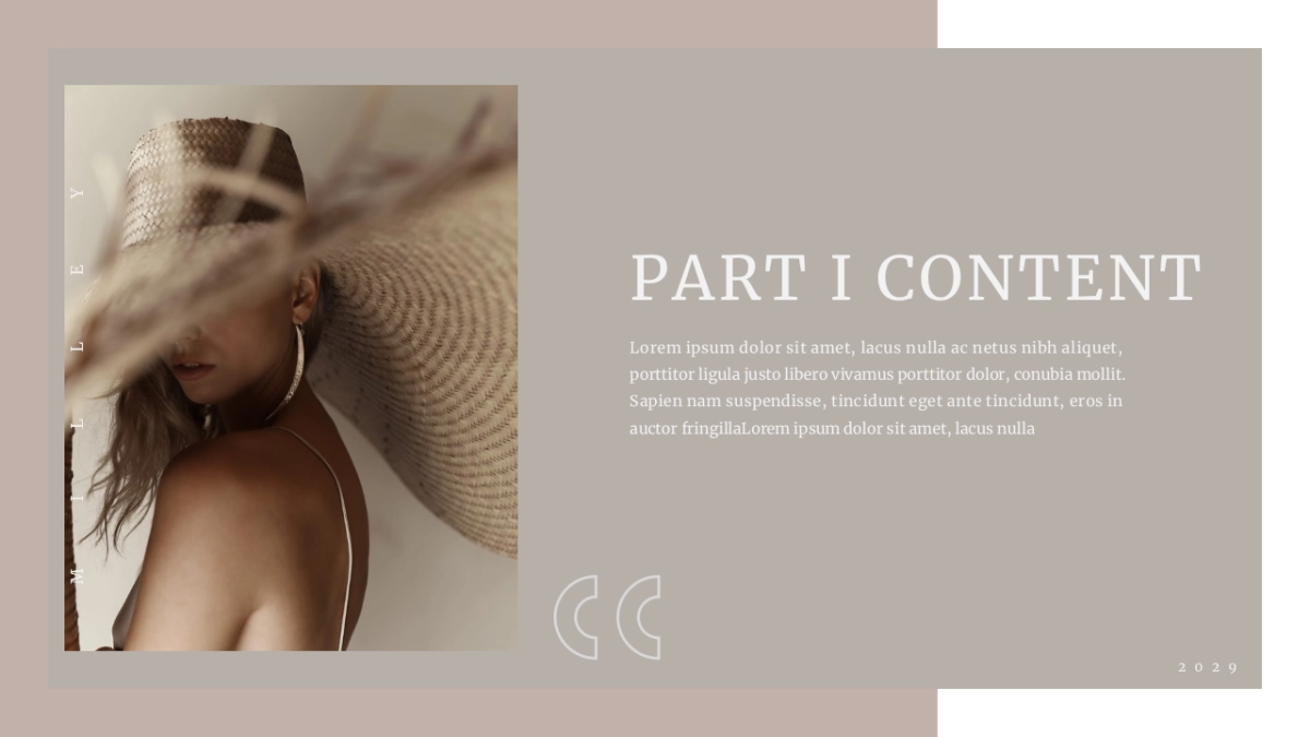 法式欧美风ppt-38(RDL)_第10页