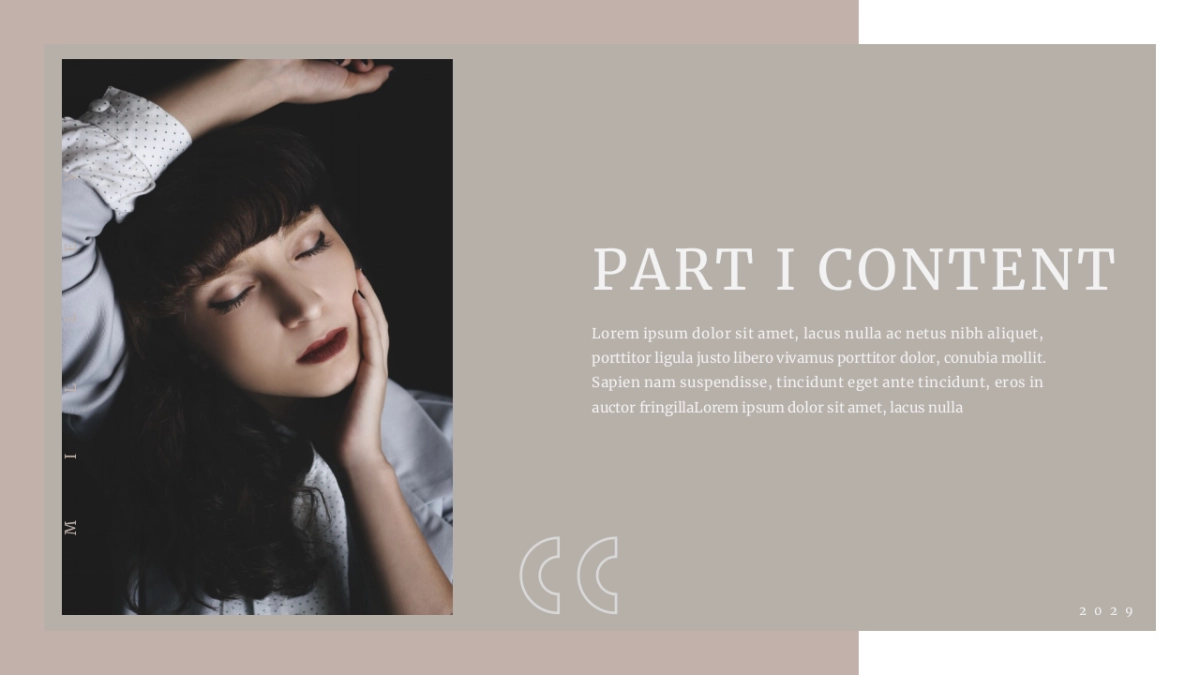 法式欧美风ppt-38(RDL)_第6页