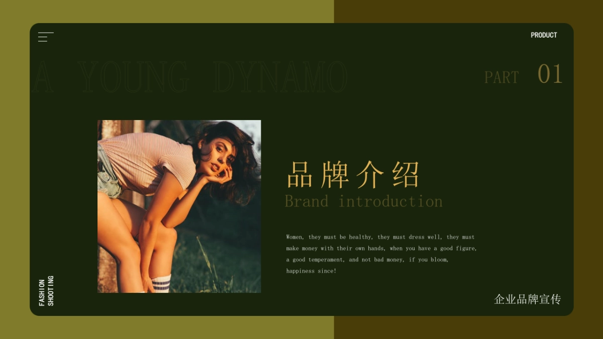 法式欧美风ppt-40(RDL)_第3页